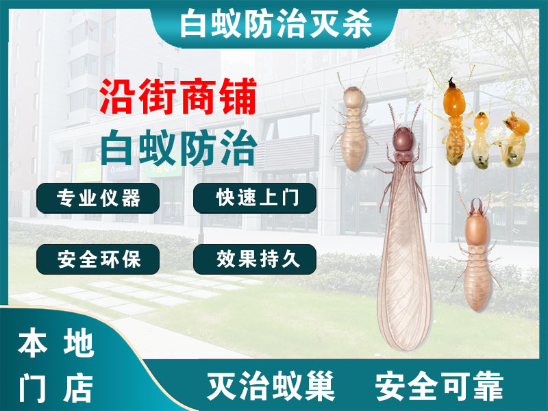 高邮沿街商铺白蚁防治