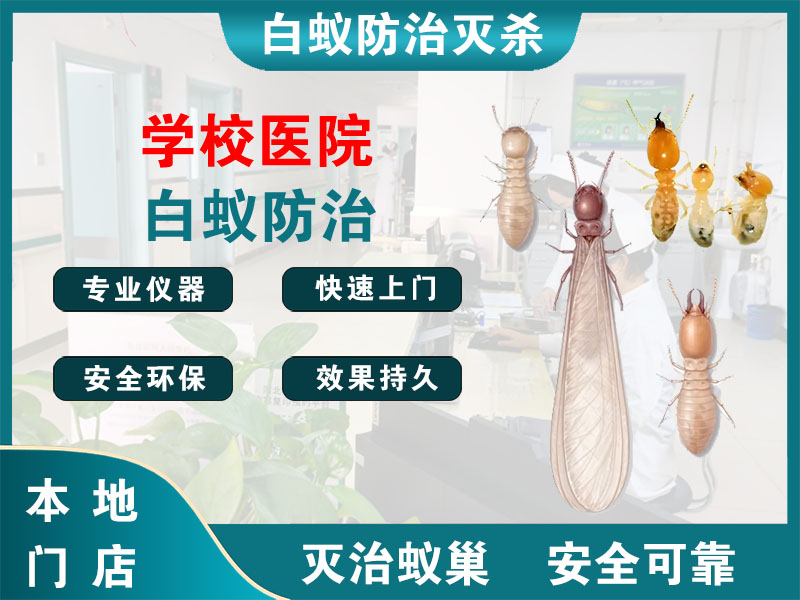 高邮学校医院白蚁防治