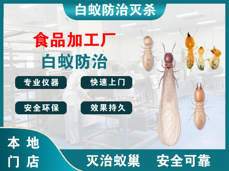 高邮食品加工厂白蚁防治