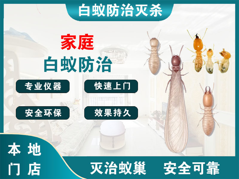 高邮家庭白蚁防治