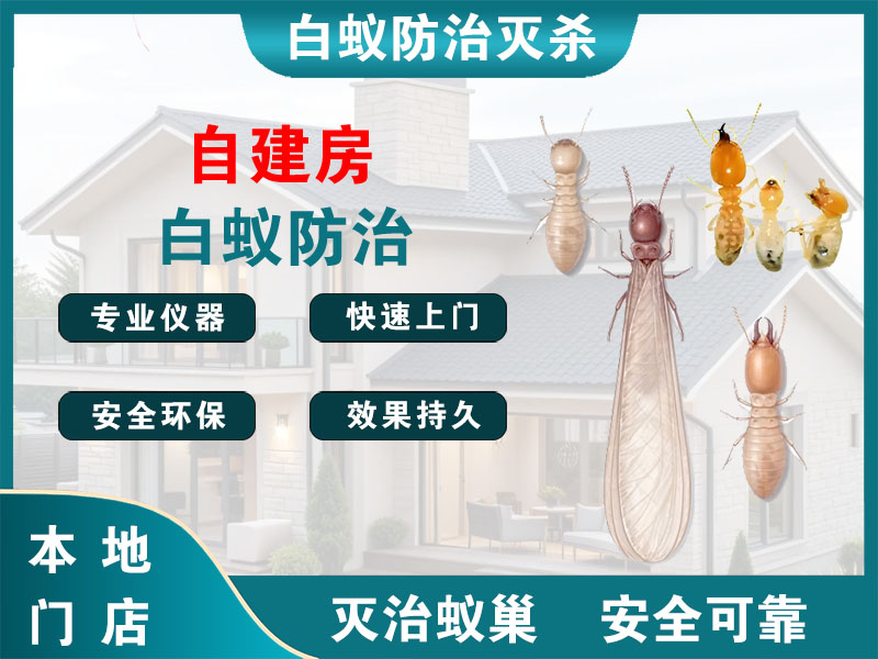 高邮自建房白蚁防治