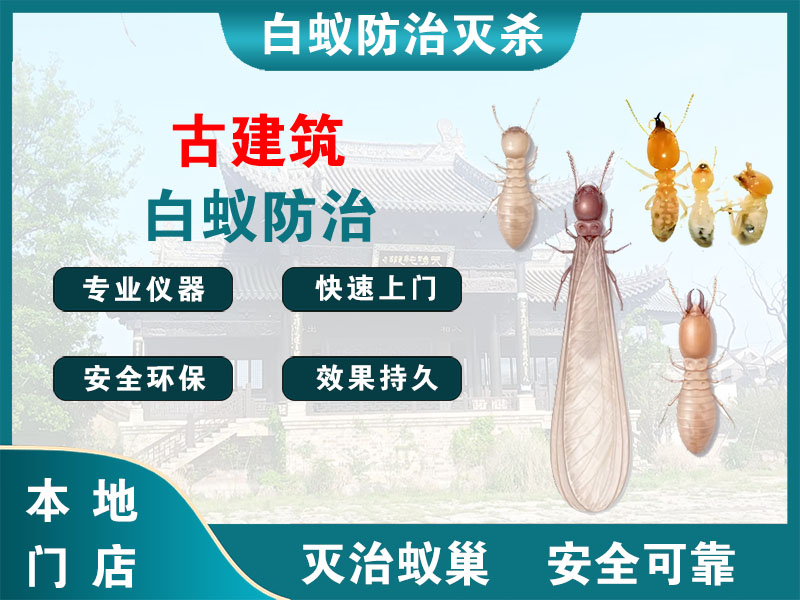 高邮古建筑白蚁防治