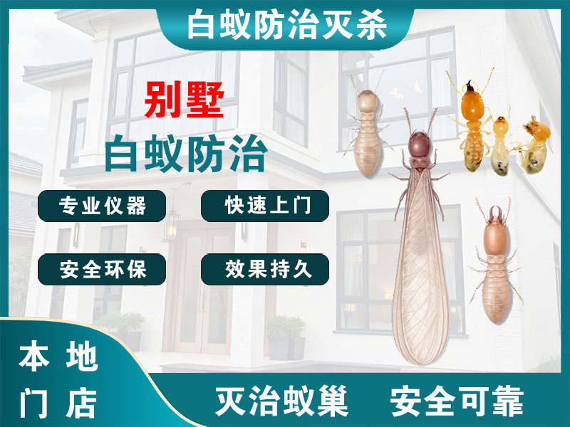 高邮别墅白蚁防治